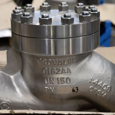R&uuml;ckschlagarmatur mit Provalve-Beschriftung und Anschlussstutzen. | Copyright: PROVALVE Armaturen GmbH & Co. KG